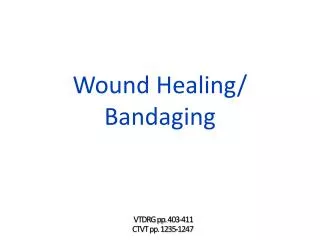 Wound Healing/ Bandaging