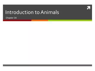 introduction to animals