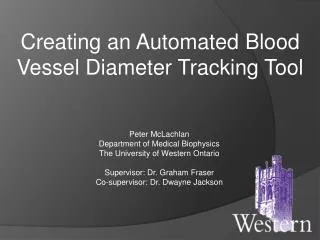 Creating an Automated Blood Vessel Diameter Tracking Tool