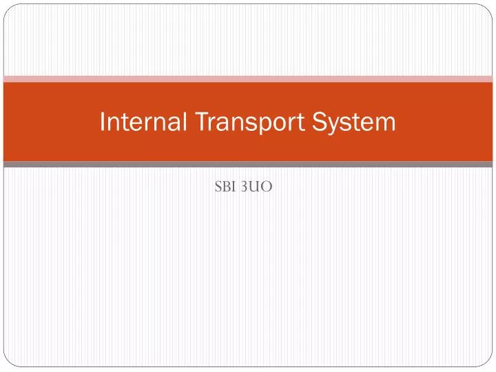 internal transport s ystem