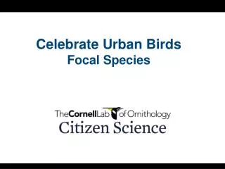 Celebrate Urban Birds Focal Species