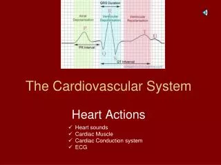 The Cardiovascular System