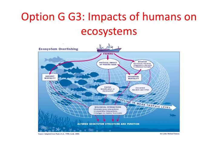 option g g3 impacts of humans on ecosystems