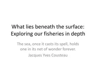 What lies beneath the surface: Exploring our fisheries in depth