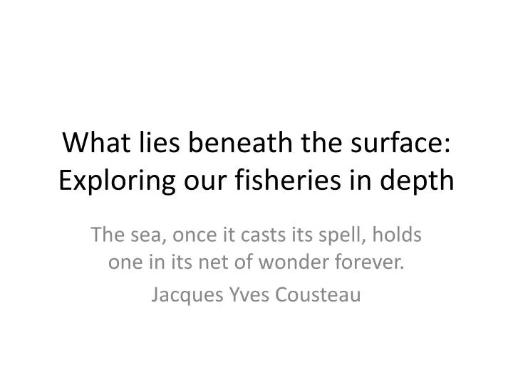 what lies beneath the surface exploring our fisheries in depth