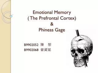 Emotional Memory ( The Prefrontal Cortex) &amp; Phineas Gage