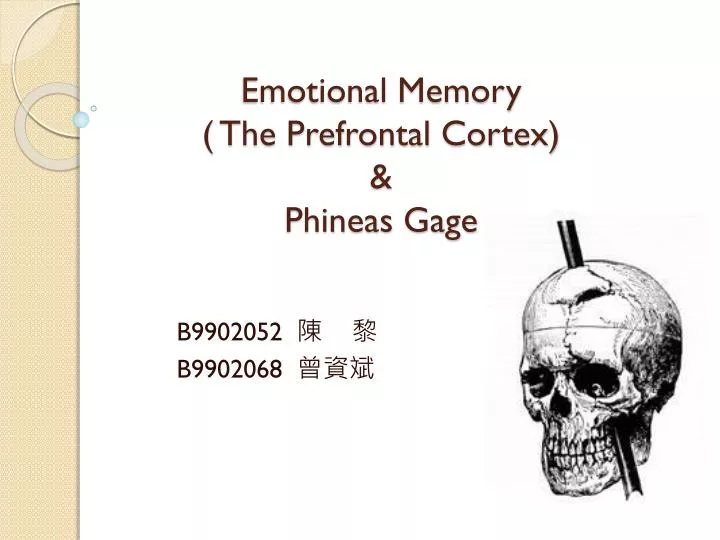 emotional memory the prefrontal cortex phineas gage