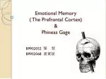 Emotional Memory ( The Prefrontal Cortex) &amp; Phineas Gage - slide 1