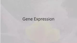 Gene Expression