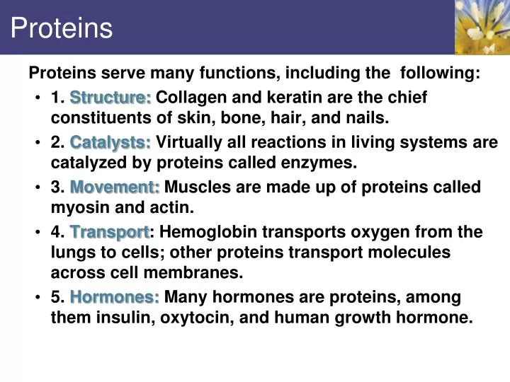 proteins