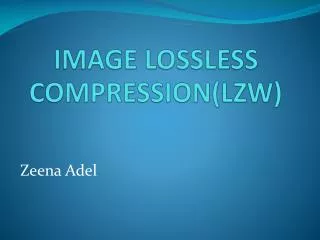 IMAGE LOSSLESS COMPRESSION(LZW)