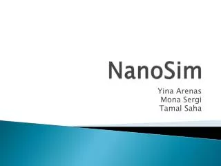 NanoSim