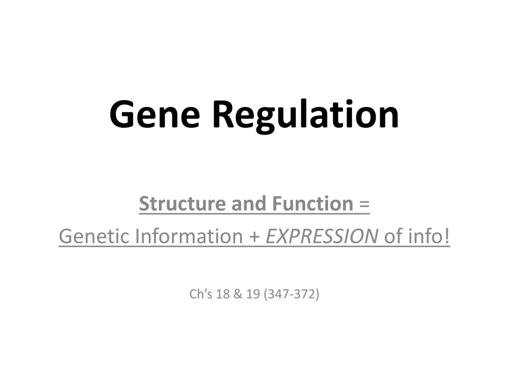 PPT - Gene Regulation PowerPoint Presentation, free download - ID:2206773