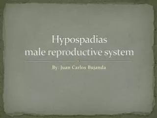 Hypospadias male reproductive system