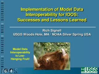 Implementation of Model Data Interoperability for IOOS: Successes and Lessons Learned