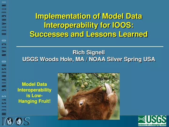 implementation of model data interoperability for ioos successes and lessons learned