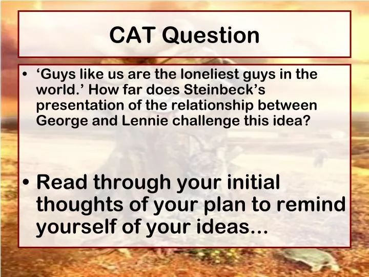 cat question