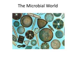 The Microbial World