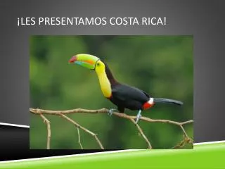 ¡Les Presentamos Costa Rica!