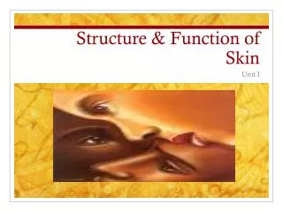 Structure &amp; Function of Skin