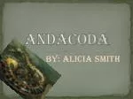 ANDACODA - slide 1