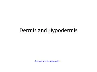 Dermis and Hypodermis