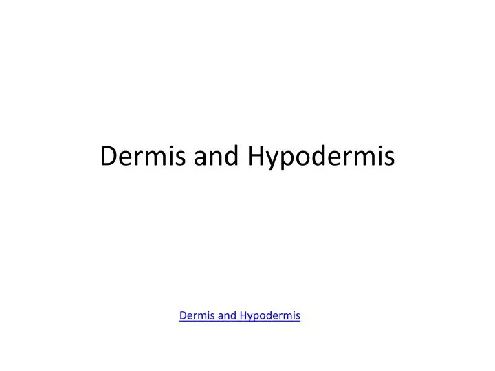 dermis and hypodermis