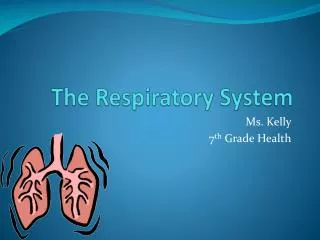 The Respiratory System