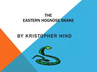 The Eastern Hognose Snake