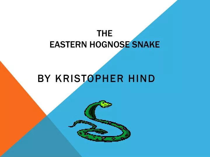 the eastern hognose snake