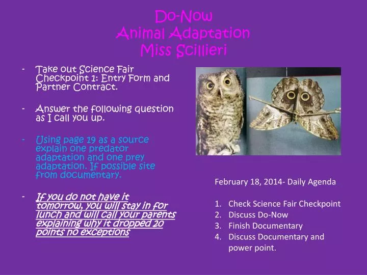 do now animal adaptation miss scillieri