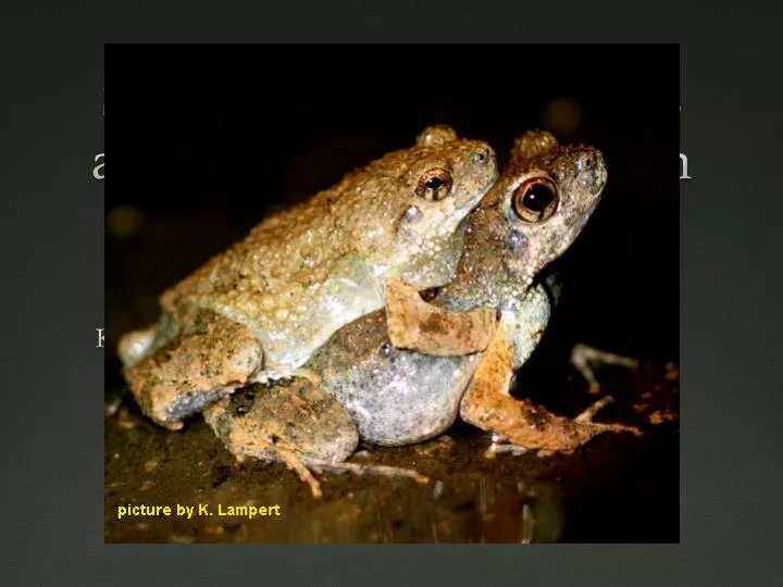 signal perception in frogs and bats and the evolution of mating signals