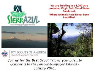 We are Trekking in a 5,000 acre protected Virgin Cold Cloud Water Rainforest,