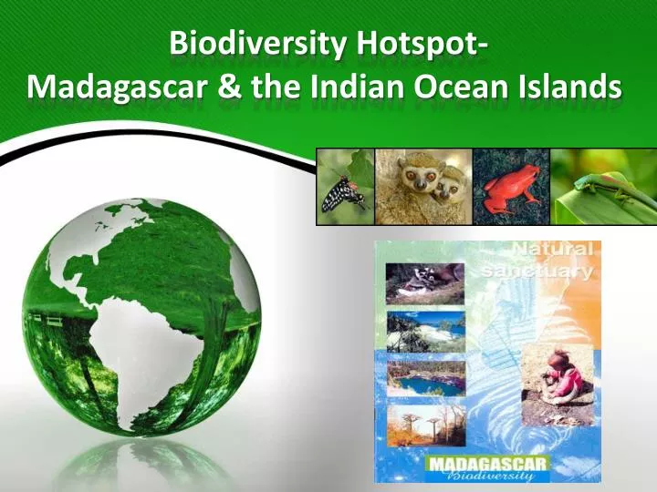biodiversity hotspot madagascar the indian ocean islands