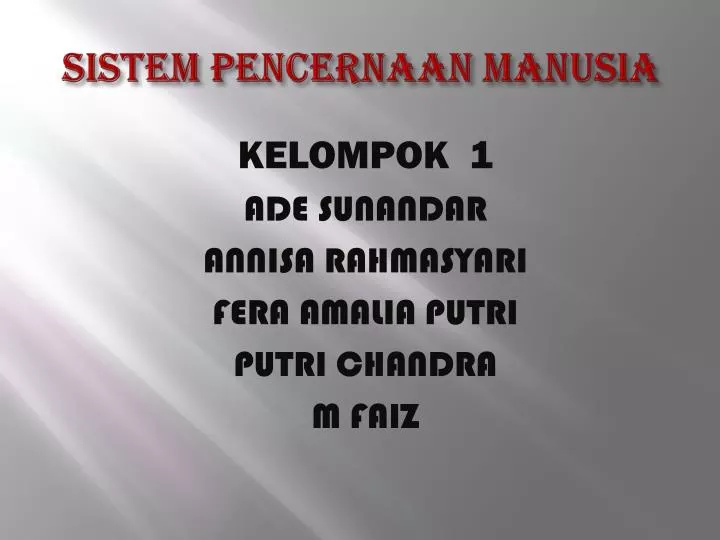 sistem pencernaan manusia