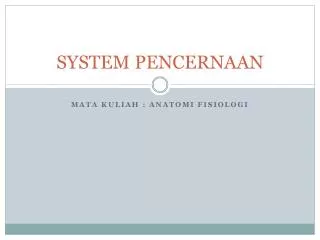system pencernaan