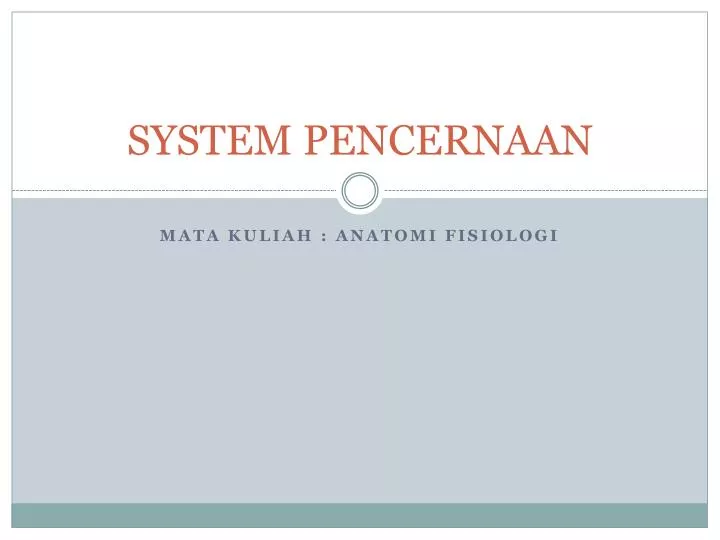 system pencernaan