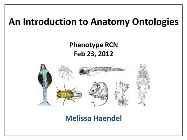 an introduction to anatomy ontologies phenotype rcn feb 23 2012