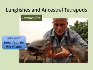 Lungfishes and Ancestral Tetrapods
