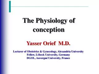 Yasser Orief M.D. Lecturer of Obstetrics &amp; Gynecology, Alexandria University