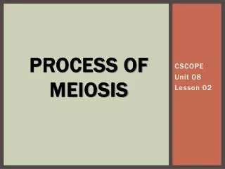 Process of meiosis