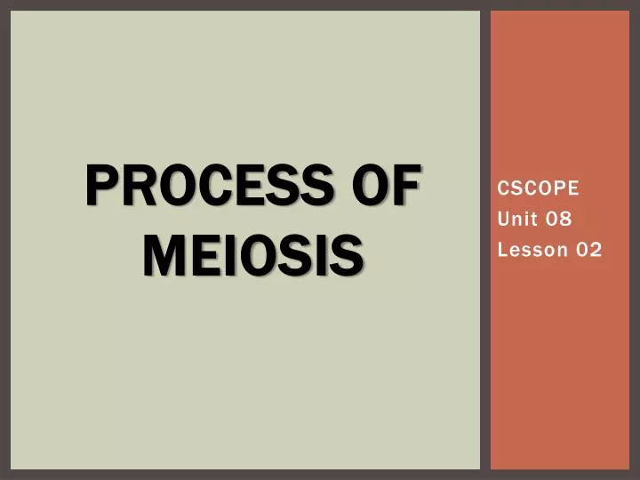 process of meiosis