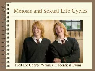 Meiosis and Sexual Life Cycles