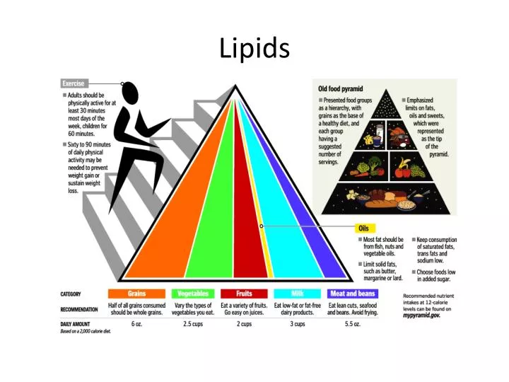 lipids