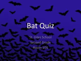 Bat Quiz