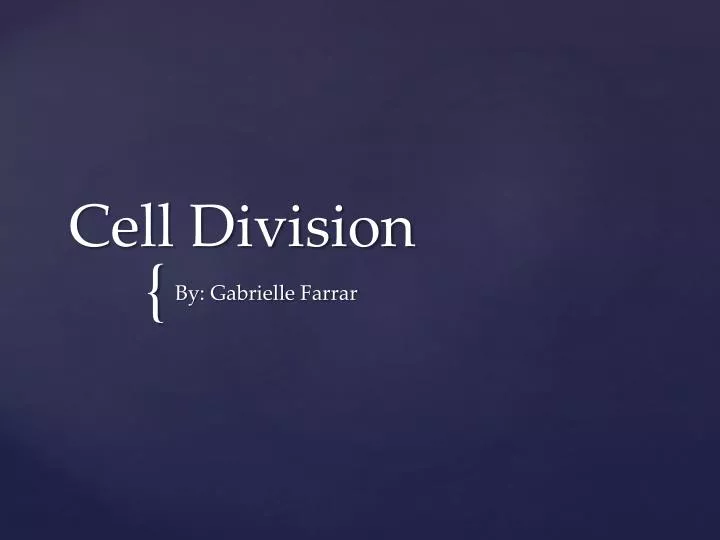 cell division