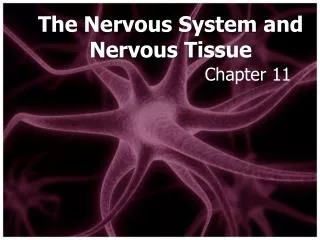 The Nervous System and Nervous Tissue