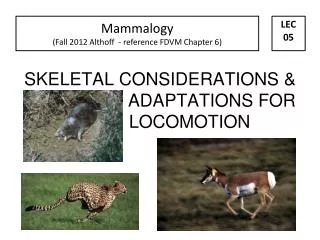 SKELETAL CONSIDERATIONS &amp; ADAPTATIONS FOR LOCOMOTION