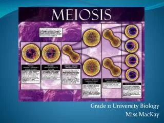 grade 11 university biology miss mackay