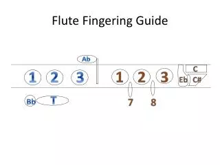 Flute Fingering Guide
